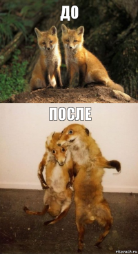 До После