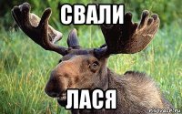 свали лася