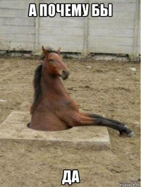 а почему бы да