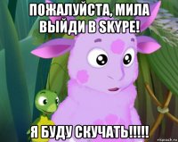 пожалуйста, мила выйди в skype! я буду скучать!!!!!