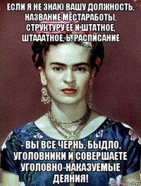 если я не знаю вашу должность, название местаработы, структуру её и штатное, штааатное, ь, расписание - вы все чернь, быдло, уголовники и совершаете уголовно-наказуемые деяния!