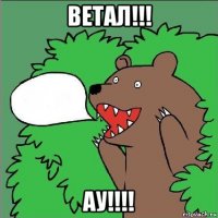 ветал!!! ау!!!!