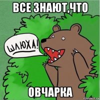 все знают,что овчарка