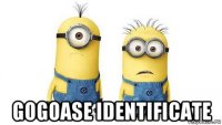  gogoase identificate