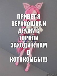 ПРИВЕТ Я ВЕРХКОШКА И ДРУЖУ С ТОРОЛИ ЗАХОДИ К НАМ В КОТОКОМБЫ!!!