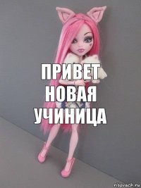 привет новая учиница