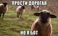 прости дорогая но я бот