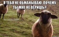 я тебя не обманываю, почему ты мне не веришь? 