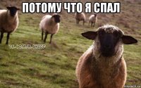 потому что я спал 