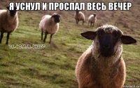 я уснул и проспал весь вечер 