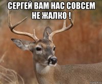 сергей вам нас совсем не жалко ! 