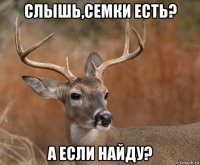 слышь,семки есть? а если найду?