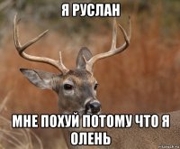 я руслан мне похуй потому что я олень