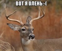 вот я олень:-( 