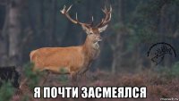  я почти засмеялся