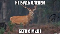 не будь оленем беги с m&bt