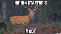 начни стартап в m&bt