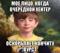 мое лицо, когда очередной хейтер оскорбляет кончиту вурст