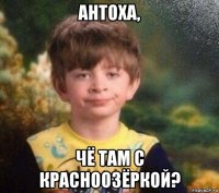 антоха, чё там с красноозёркой?