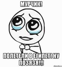 мурчик! полетели в египет! ну позязя!!!