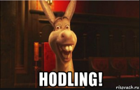  hodling!