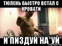 тюлень быстро встал с кровати и пиздуй на*уй