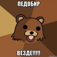 педобир везде!!!!!