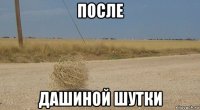 после дашиной шутки