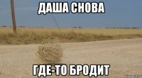 даша снова где-то бродит