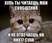 хуль ты читаешь мои сообщения и не отвечаешь на них!? сука . . .