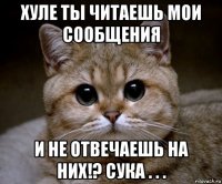 хуле ты читаешь мои сообщения и не отвечаешь на них!? сука . . .