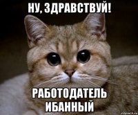 ну, здравствуй! работодатель ибанный