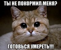 ты не покормил меня? готовься умереть!!!