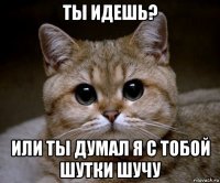 ты идешь? или ты думал я с тобой шутки шучу