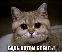  будь котом блеать!