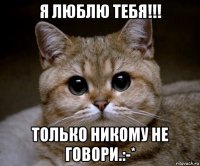 я люблю тебя!!! только никому не говори.:-*