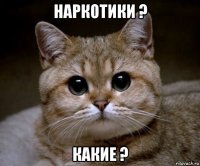 наркотики ? какие ?