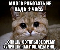 много работать не надо. 2 часа... ...спишь, остальное время хуяришь как лошадь! бна...