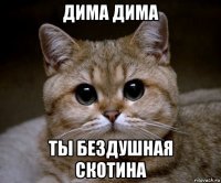 дима дима ты бездушная скотина