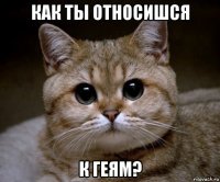 как ты относишся к геям?