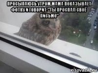 просыпаюсь утром,мама показывает фотку и говорит:"ты проспал своё письмо" 