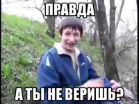 правда а ты не веришь?