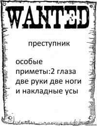 преступник особые приметы:2 глаза две руки две ноги и накладные усы