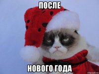 после нового года