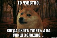 то чувство, когда охота гулять, а на улице холодно. . .