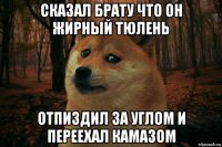 сказал брату что он жирный тюлень отпиздил за углом и переехал камазом