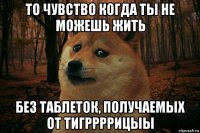 то чувство когда ты не можешь жить без таблеток, получаемых от тигррррицыы