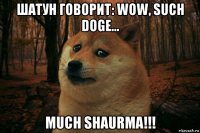 шатун говорит: wow, such doge... much shaurma!!!