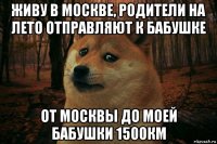 живу в москве, родители на лето отправляют к бабушке от москвы до моей бабушки 1500км