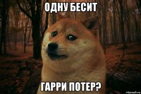 одну бесит гарри потер?